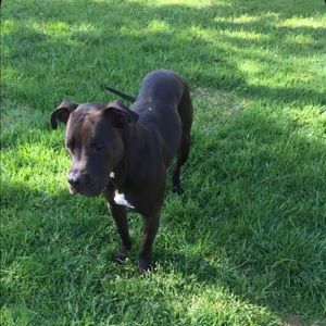 Meet your Posher, Carlos